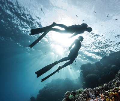 프리다이버 베이직