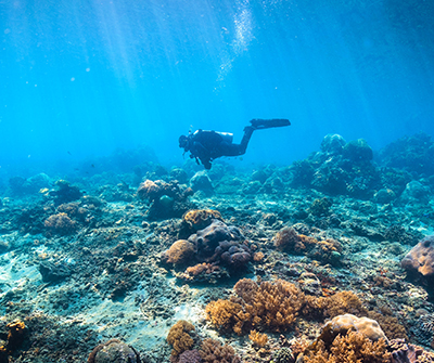 어드밴스 스쿠버 다이버